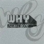 Постер аниме «Причина: Ремикс 2002»