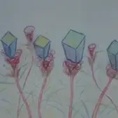 Постер аниме «Shizen wo Korosu Kikai»